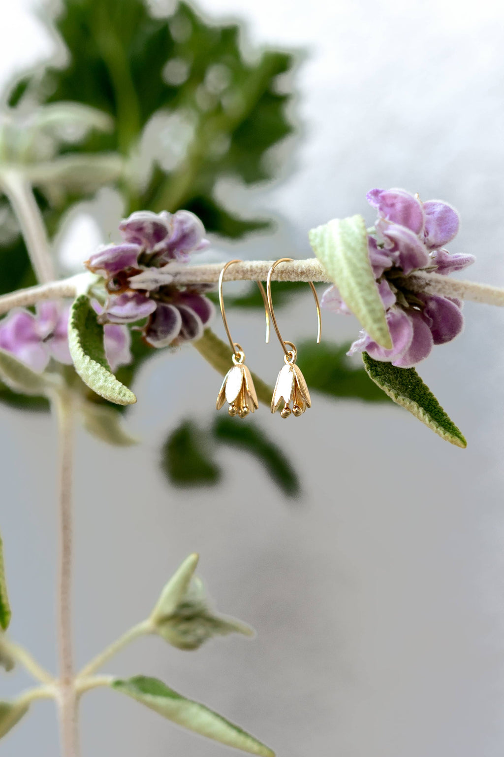 Courtenay Tulip Earrings by Peter & June