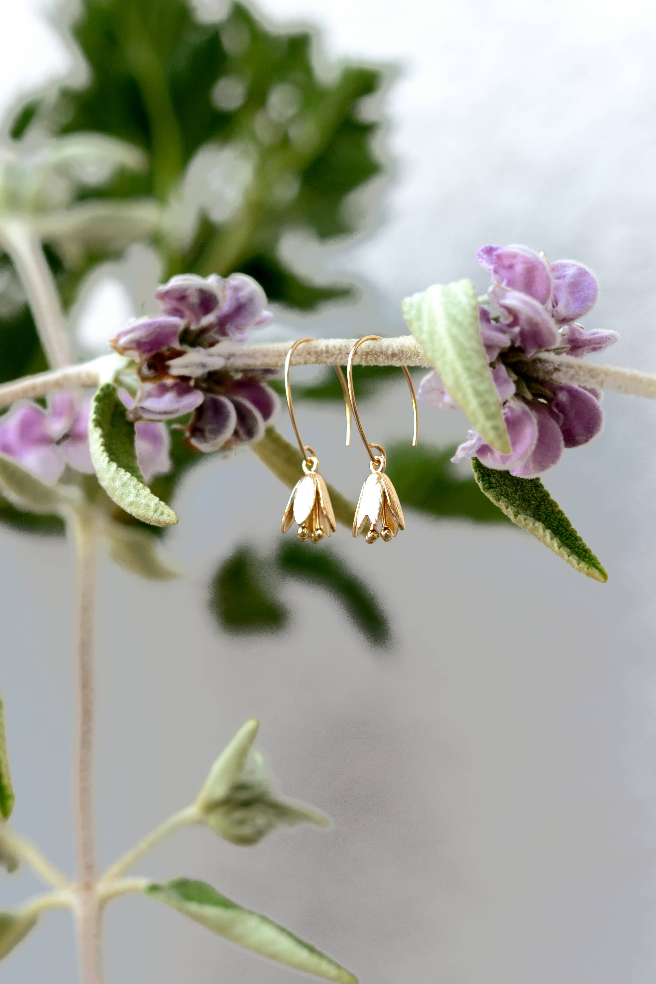 Courtenay Tulip Earrings by Peter & June
