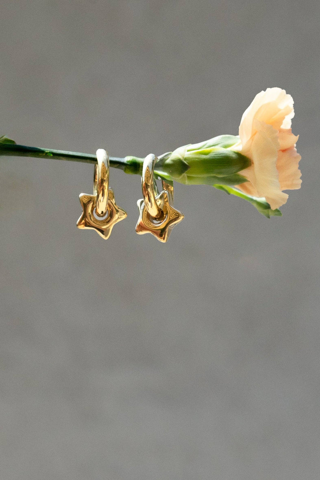 Estrella Hoops - 18K Gold Plated or Stainless Steel by Peter & June